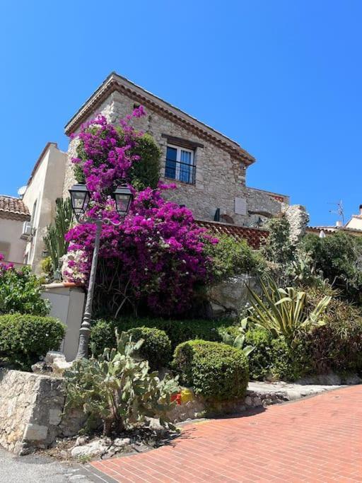 Strelizia - New Central Old Antibes For 4 Ac Exteriör bild