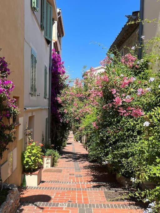 Strelizia - New Central Old Antibes For 4 Ac Exteriör bild